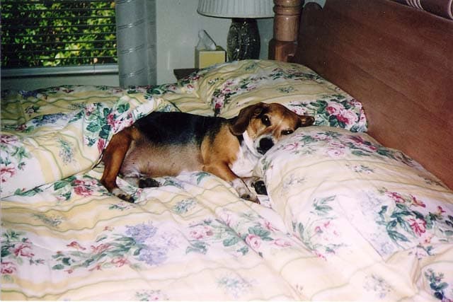 Relaxing at Grandma and Grandpa's house