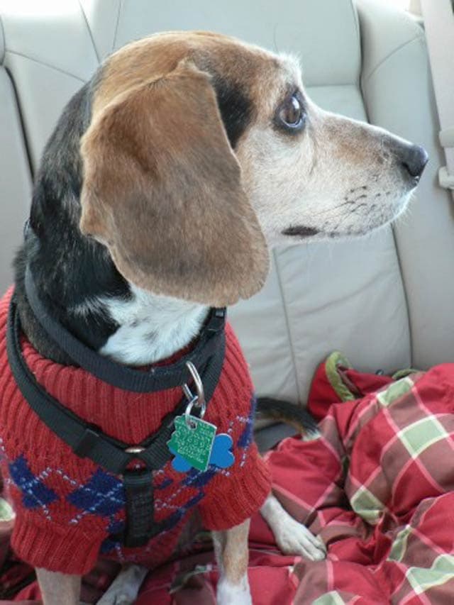 In the car and ready for a road trip!