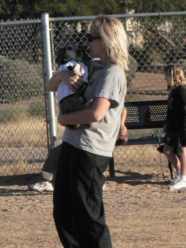 At the dog park on Christmas Day