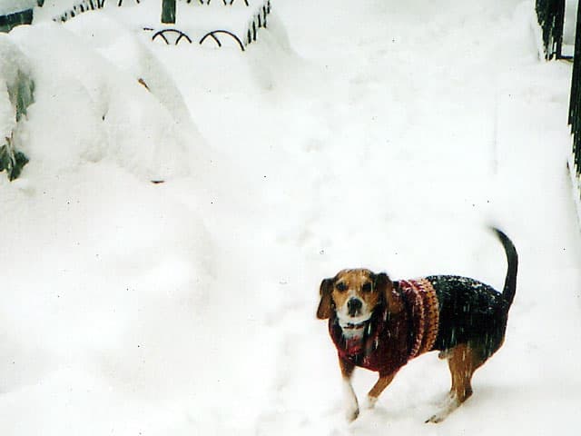 Our first snowfall together, on 89th St.