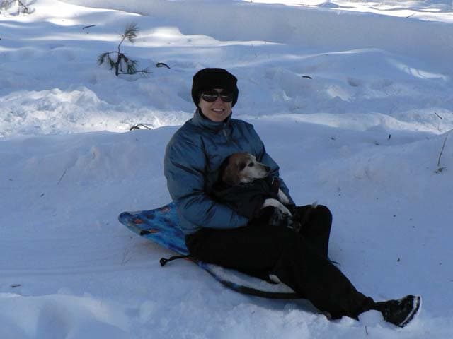 Sledding in Arizona's White Mountains