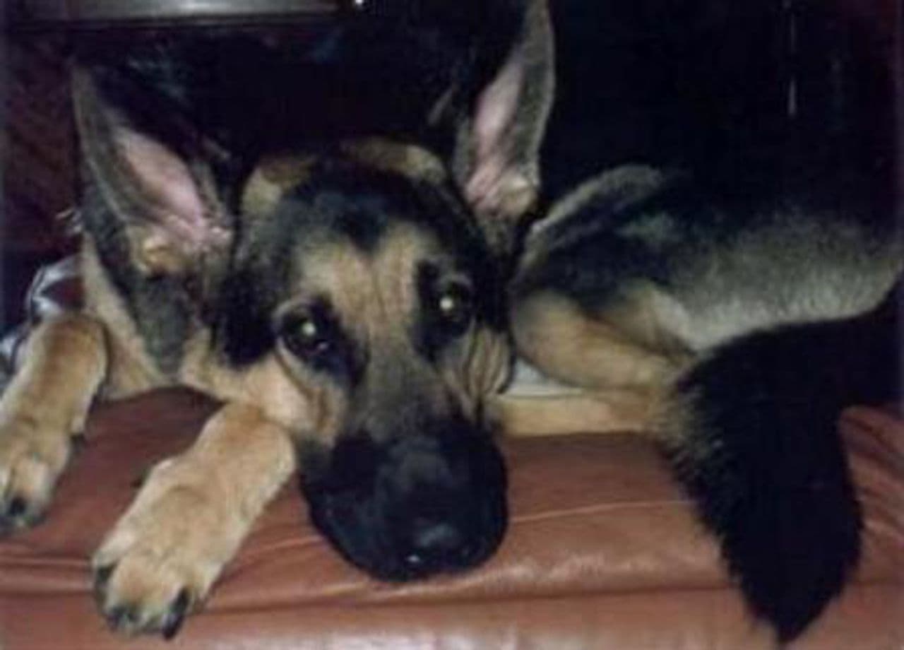 Max