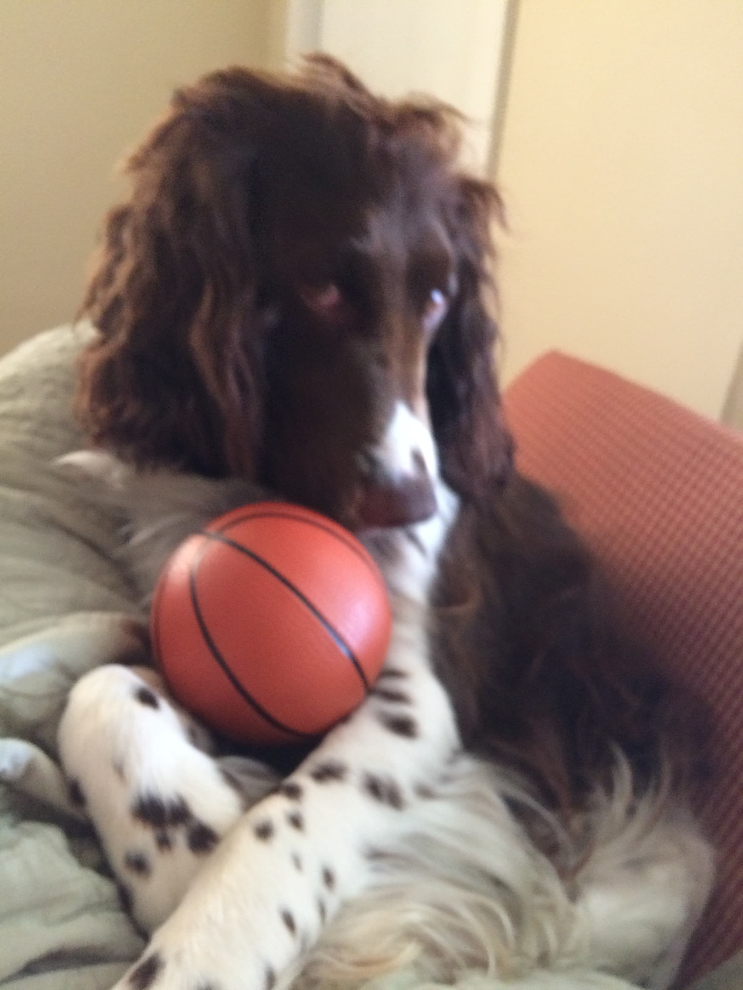 My sweet, sweet little baby boy, Jonah