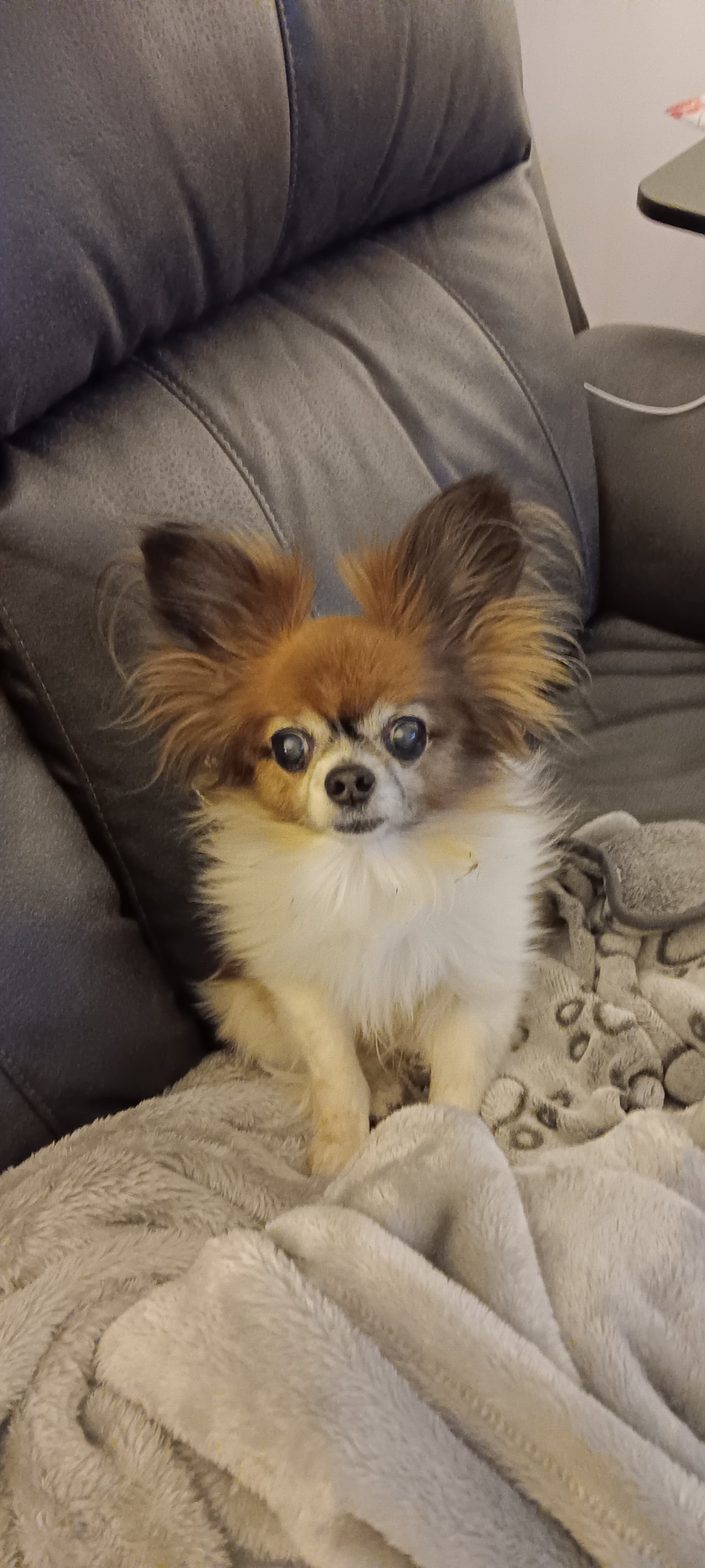 coco